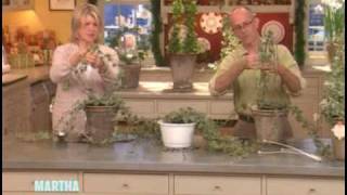 Ivy Topiaries ⎢Martha Stewart [upl. by Nashom]