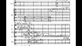 Shostakovich  Symphony No 5 Score [upl. by Ellicul]