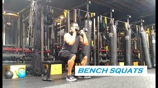 BENCH SQUATS  A Quick Guide [upl. by Nikita575]