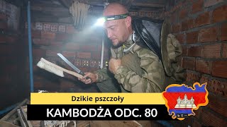 Kambodża  Dzikie pszczoły odc 80 [upl. by Schmidt365]