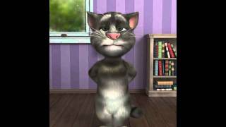 Talking Tom Cat 2  The Bast Funny Tom Video 16 [upl. by Yrome769]