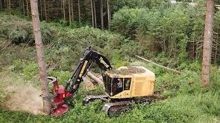 Chilton Logging Tigercat 870D Feller Buncher and Cat 558 Processor [upl. by Nohtiek]