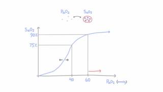 Oxygen hemoglobin dissociation curve [upl. by Nnaillek]