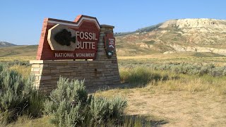 Fossil Butte  Our Wyoming [upl. by Oliva516]