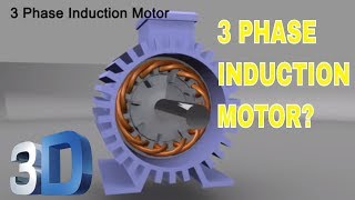 3 Phase Induction Motor [upl. by Zehe]