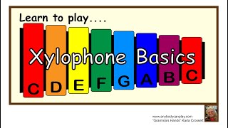 Xylophone Learn Basics of Playing a Xylophone [upl. by Jane]