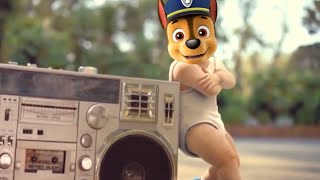 Paw Patrol amp Baby Dance  Coffin Dance Meme Parody [upl. by Milman]