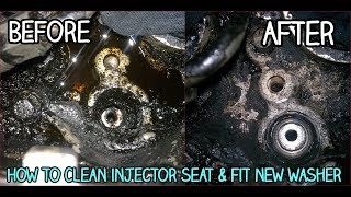 Injector SealWasher Replacement  How To Remove amp Install  DIY [upl. by Ainatit]