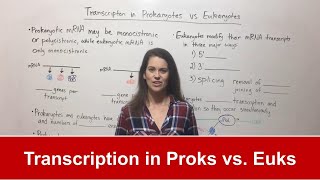 Transcription in Prokaryotes vs Eukaryotes [upl. by Teddi712]