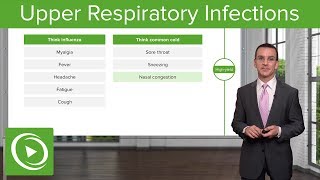 Upper Respiratory Infections – Family Medicine  Lecturio [upl. by Hannavas]