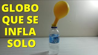 Experimento el globo que se infla solo con bicarbonato Explicación y procedimiento🎈 [upl. by Neirbo]