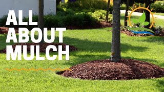 EVERYTHING MULCH  Types and How to Choose [upl. by Felizio]