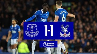 PREMIER LEAGUE HIGHLIGHTS EVERTON 11 CRYSTAL PALACE [upl. by Irim]