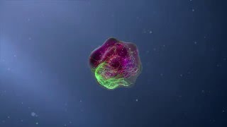 Flow Cytometry Animation [upl. by Deeyn55]