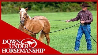 Clinton Anderson Training a Rescue Horse Part 1  Downunder Horsemanship [upl. by Trevor946]