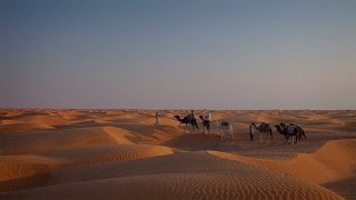 Sahara desert from Douz to Ksar Ghilane  True Tunisia  season 1 episode 5 [upl. by Alraep]