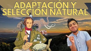 Relación entre adaptación y selección natural [upl. by Midan149]