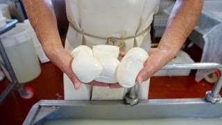 Making Mozzarella in Umbria Italy [upl. by Judi45]