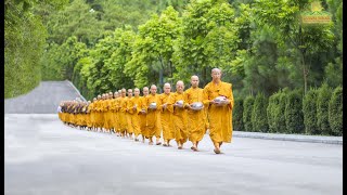 Alms Round  A Beautiful Tradition Of Buddhism  Ba Vang Pagoda Vietnam [upl. by Zola783]