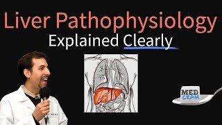 Liver Explained Clearly  Pathophysiology LFTs Hepatic Diseases [upl. by Eilsehc]