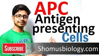 Antigen presenting cells APC [upl. by Laet911]