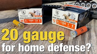 Use a 20 gauge for home defense over a 12 gauge [upl. by Anauq]