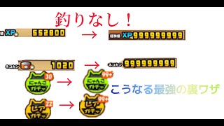 サイトに載せるの禁止 にゃんこ大戦争でxp999999999、猫缶999999999、レアチケ、ニャンチケを999にするチート級の裏ワザ！ [upl. by Fowle]