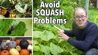 How to Avoid Common Squash Problems [upl. by Beberg]