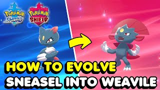 How To Evolve Sneasel Into Weavile In Pokemon Sword amp Shield [upl. by Yemrots]