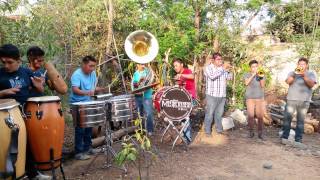 Jinetes en el cielo  banda la misteriosa de oax [upl. by Tshombe]