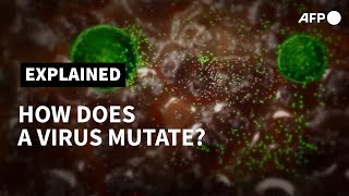 How does a virus mutate  AFP [upl. by Michal760]