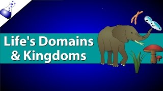 Domains and Kingdoms of life [upl. by Nodarb]