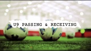 Soccer Drills Passing amp Receiving U9 [upl. by Idnar]