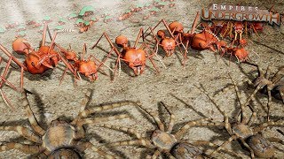 THE GREAT SPIDER REVOLT  Empires Of The Undergrowth  Ep19 [upl. by Bautram846]