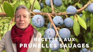 Prunelles sauvages [upl. by Zenda]