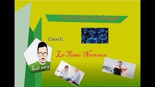 01 Tissu Nerveux  Neurophysiologie Bac Tunisie [upl. by Abihsat822]