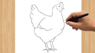 How to Draw a Chicken  Easy Hen Drawing Step by Step Tutorial [upl. by Hoffer55]