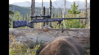 Lane Precision Rifles custom build overview [upl. by Bruni522]