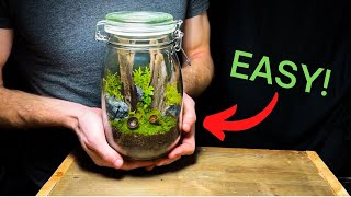 DIY Jar Terrarium A Beginners Guide [upl. by Yluj17]