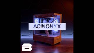 Acinonyx  BILLT PC LLC [upl. by Illom]