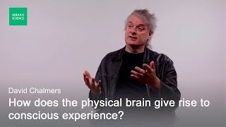 Hard Problem of Consciousness — David Chalmers [upl. by Ammamaria]