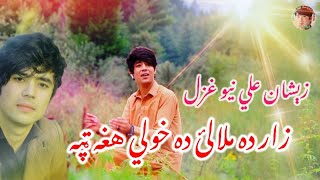 Zeeshan Ali zarGar new ghazal [upl. by Asilej]