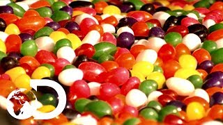 Jelly Beans  How Its Made [upl. by Osmen]