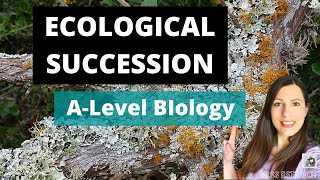 Ecological Succession Alevel biology Primary amp secondary succession ampeach seral stage explained [upl. by Etnaihc]