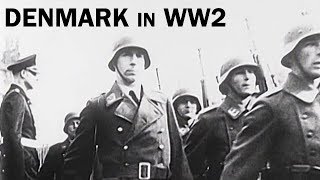 Denmark in World War 2  The Danish Resistance  Documentary Short  1944 [upl. by Joshua]