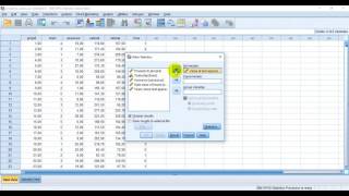 Ratio Statistics in SPSS [upl. by Atte]