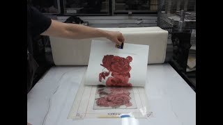 Printing Carborundum Collagraph Plates [upl. by Naneik]