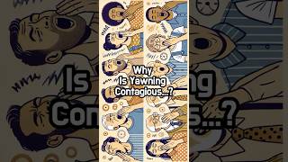 Why Is Yawning Contagious [upl. by Nevins]