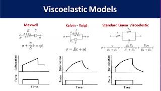 Polymer Viscoelasticity [upl. by Lunneta]