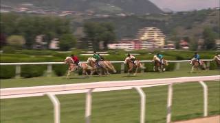 Haflinger Galopprennen in Meran [upl. by Valaree690]